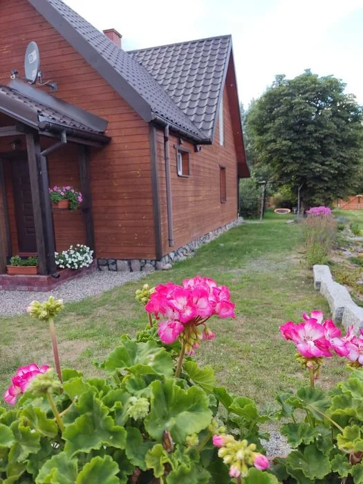 Domek. Noclegi. Augustów - okolice. Last minute – zdjęcie 6