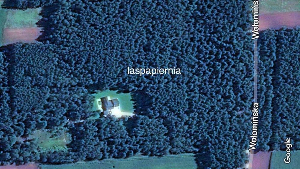 Willa w lesie z sala banietowa na imprezy wesela szkolenia – zdjęcie 2