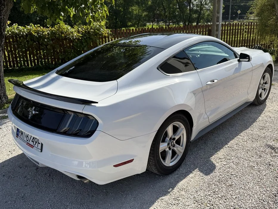 Ford Mustang 3.7 MANUAL / 145.000km przebieg / Zarejestrowany / ZAMIANA na Bmw e30, e36, e39, e38, e92 lub Focus ST 2013+ / nie 2.3, 5.0 – zdjęcie 3