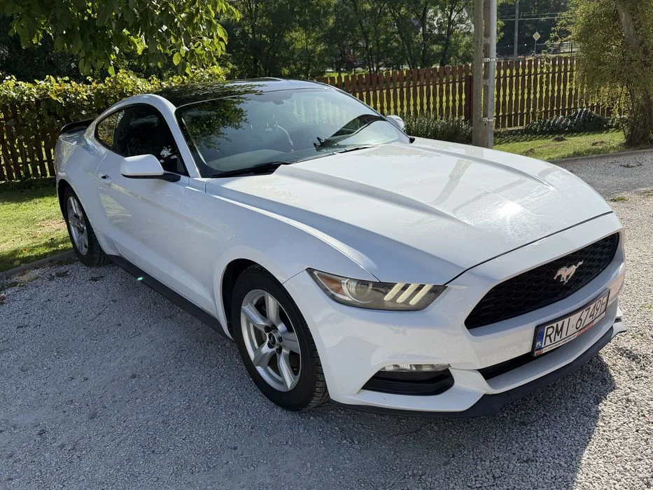 Ford Mustang 3.7 MANUAL / 145.000km przebieg / Zarejestrowany / ZAMIANA na Bmw e30, e36, e39, e38, e92 lub Focus ST 2013+ / nie 2.3, 5.0 – zdjęcie 2