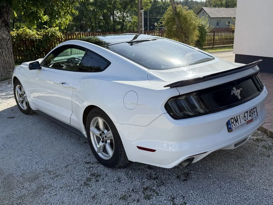 Ford Mustang 3.7 MANUAL / 145.000km przebieg / Zarejestrowany / ZAMIANA na Bmw e30, e36, e39, e38, e92 lub Focus ST 2013+ / nie 2.3, 5.0 – zdjęcie 4