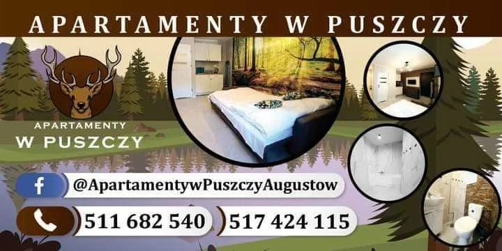 Apartamenty w Puszczy + rowery – zdjęcie 4