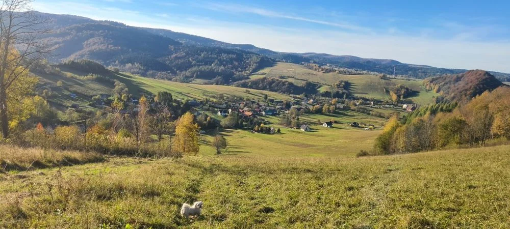 Domki Bieszczady – zdjęcie 12