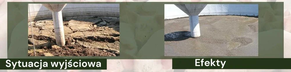 Bakterie do gnojowicy na płynny gnój, likwidują kożuch w gnojowicy – zdjęcie 3