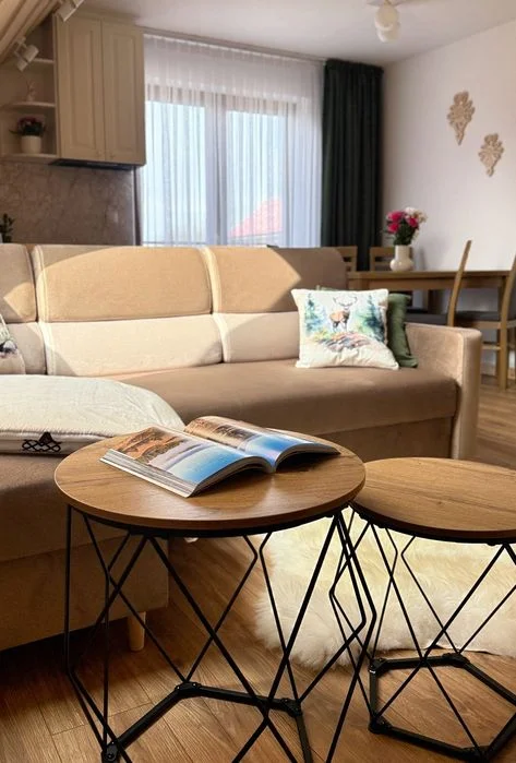 Apartamenty 242E. Nocleg w górach. Chochołów blisko Chochołowskich Term. Zakopane – zdjęcie 6