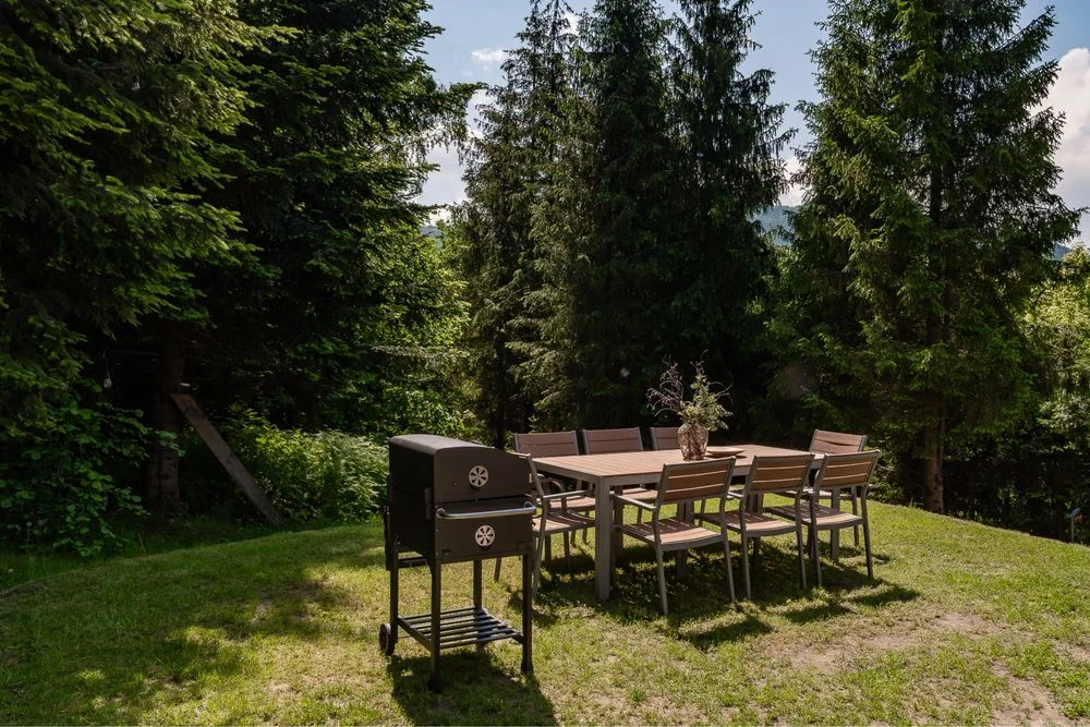 Samodzielny Dom z bala widok na gory, podgrzewany, zadaszony,zabudowany caloroczny basen plaza, jacuzzi, 30a działka, las – zdjęcie 3