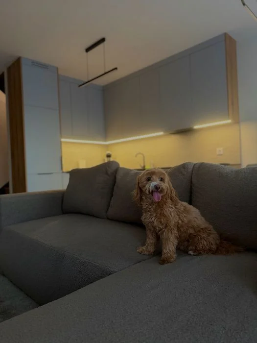 Sky Jagodno- apartament z jacuzzi na doby. – zdjęcie 7