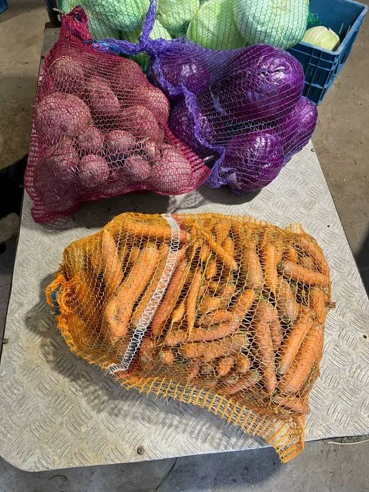 Marchew,kapusta,buraczek drugi sort