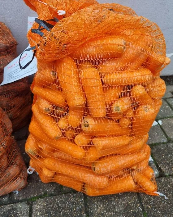 Marchew,kapusta,buraczek drugi sort – zdjęcie 3