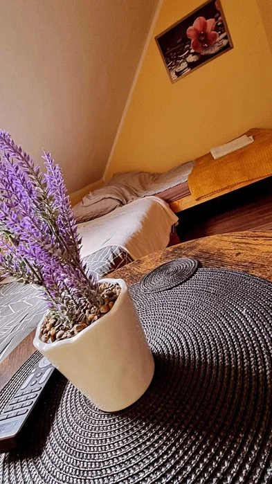 BIESZCZADY Polańczyk Solina CZEK TURYSTYCZNY BON domki pokoje n. jeziorem bon – zdjęcie 7
