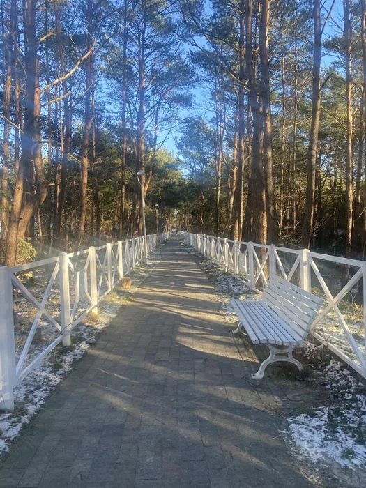 Apartament nad morzem przy zejściu na plażę, Parking – zdjęcie 9