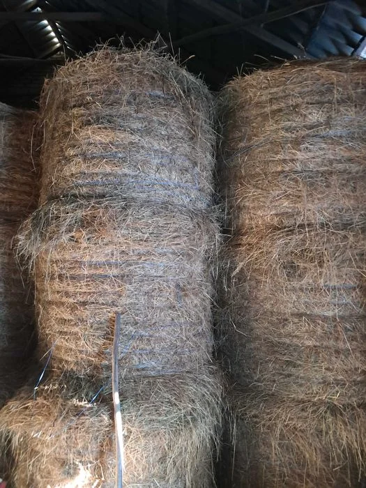 Siano w belach z pierwszego pokosu oraz groch – zdjęcie 2