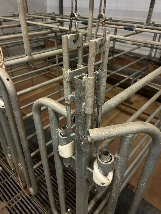 Klatki postojowe pojedynki dla loch import Holandia – zdjęcie 3