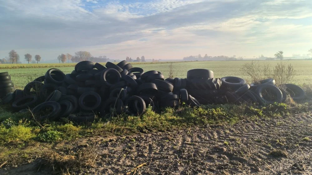 Oddam opony na pryzmy, kiszonki