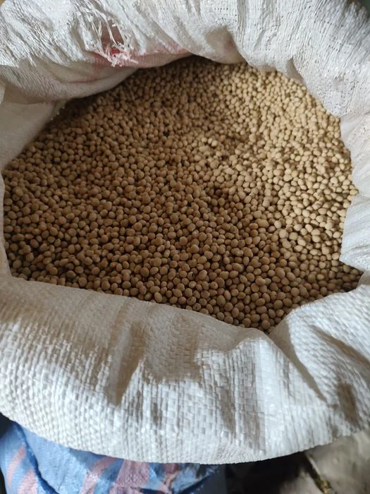 Łubin biały, słodki 2,5 t – zdjęcie 2
