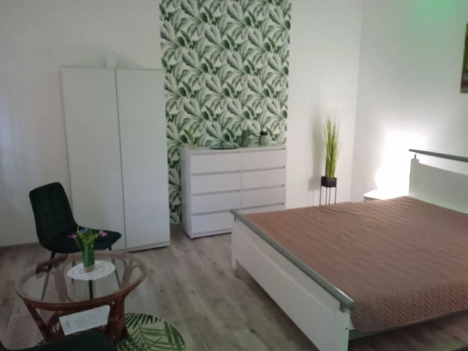 Apartament Muszyna Centrum – zdjęcie 8