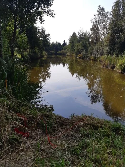 Dom na Kaszubach,domek – zdjęcie 12