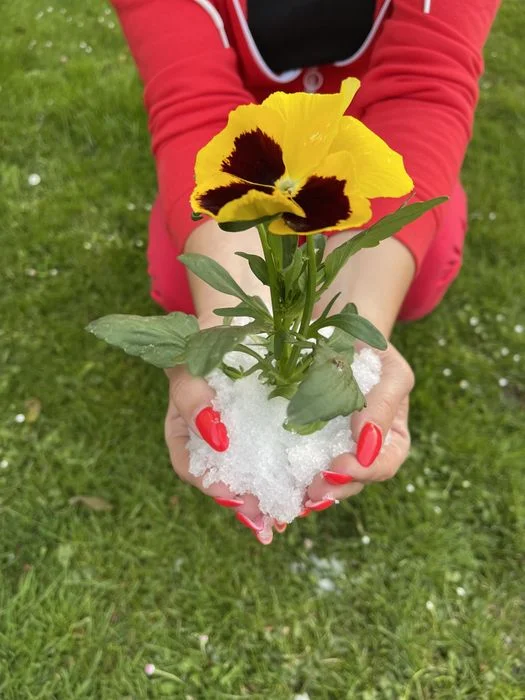 Hydrożel , Superabsorbent ,5 kg