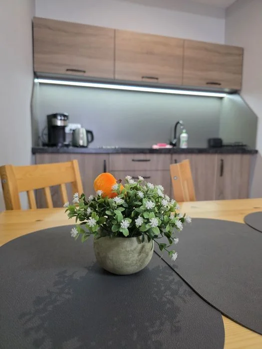 Noclegi Bystrzyca Kłodzka Apartament Zieleniec Czarna Góra