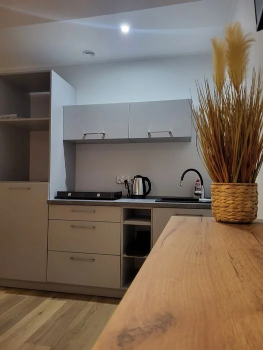 Noclegi Bystrzyca Kłodzka Apartament Zieleniec Czarna Góra – zdjęcie 4