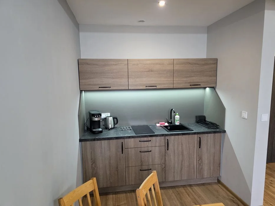 Noclegi Bystrzyca Kłodzka Apartament Zieleniec Czarna Góra – zdjęcie 7