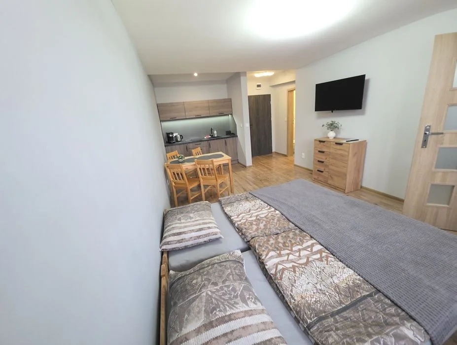 Noclegi Bystrzyca Kłodzka Apartament Zieleniec Czarna Góra – zdjęcie 11