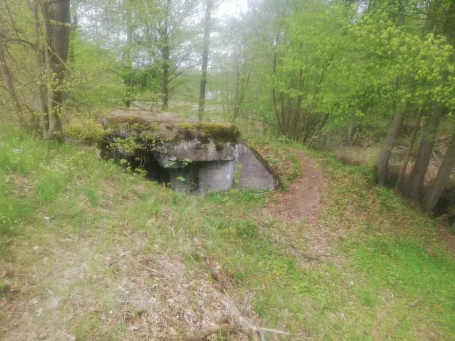 Agroturystyka pokoje par rodzin grup 5 pokoi tanie spanie sala SPOTKANIA 40 os. imieniny.. – zdjęcie 11