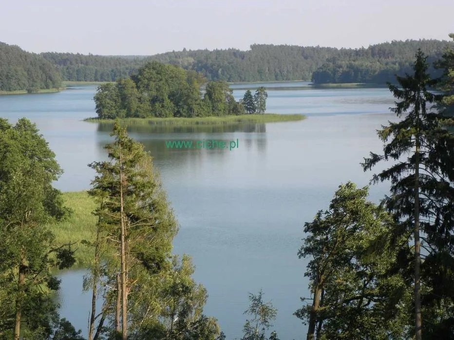 Agroturystyka pokoje par rodzin grup 5 pokoi tanie spanie sala SPOTKANIA 40 os. imieniny.. – zdjęcie 5