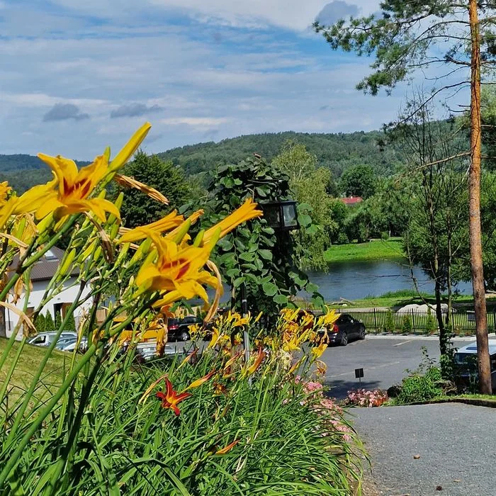 Bieszczady góry noclegi wędkowanie rzeka wypoczynek Sylwester domki