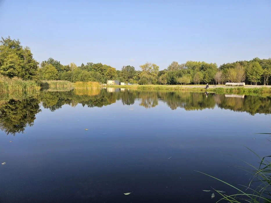 Domek na wynajem prywatny staw Lubuskie – zdjęcie 12