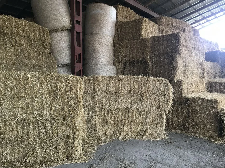 Słoma , kostka/kulka , siano pasza, bele okrągłe – zdjęcie 7