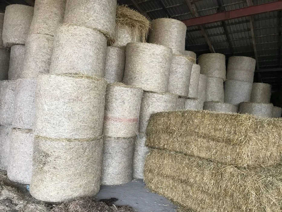 Słoma , kostka/kulka , siano pasza, bele okrągłe – zdjęcie 6