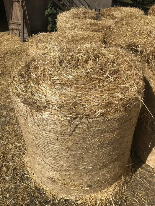 Słoma , kostka/kulka , siano pasza, bele okrągłe – zdjęcie 2