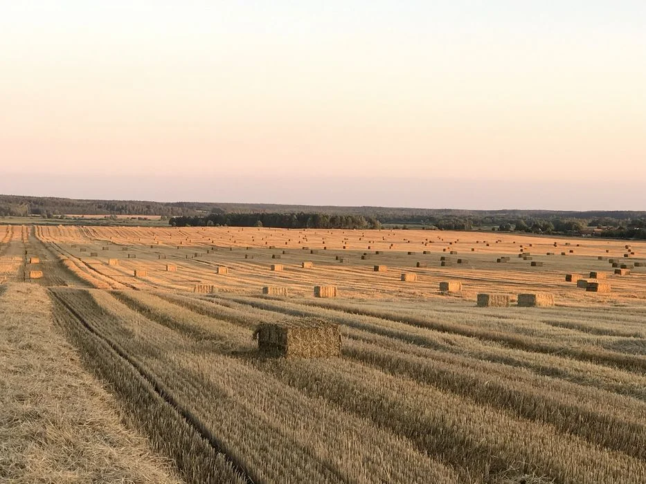 Słoma , kostka/kulka , siano pasza, bele okrągłe – zdjęcie 5