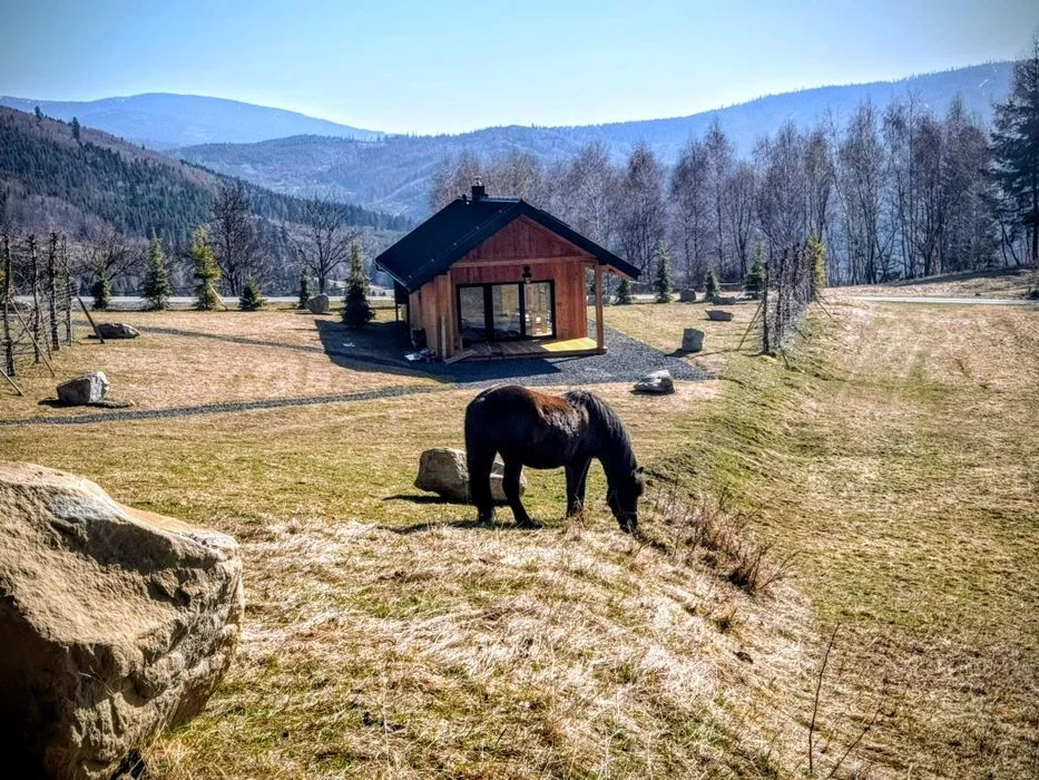 Domek z pięknym widokiem, jacuzzi kominek 840mnpm Złatna, Ujsoły, Rajcza, noclegi, Dom w górach A Klimatyzacja – zdjęcie 14