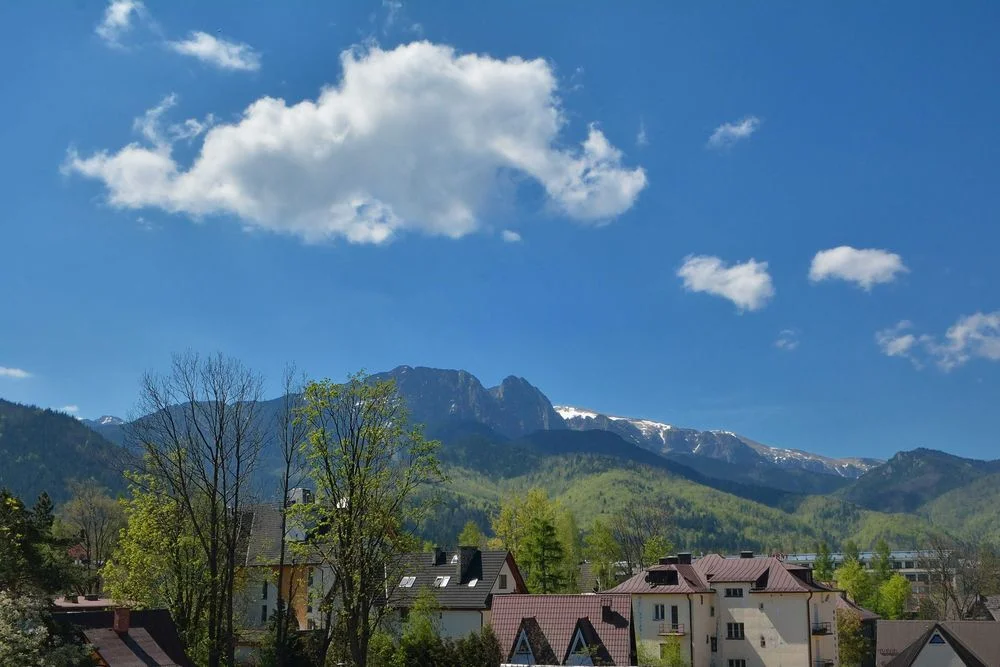 Pokoje Gościnne Bacówka Centrum Zakopane ul. Zamoyskiego 1 A – zdjęcie 5