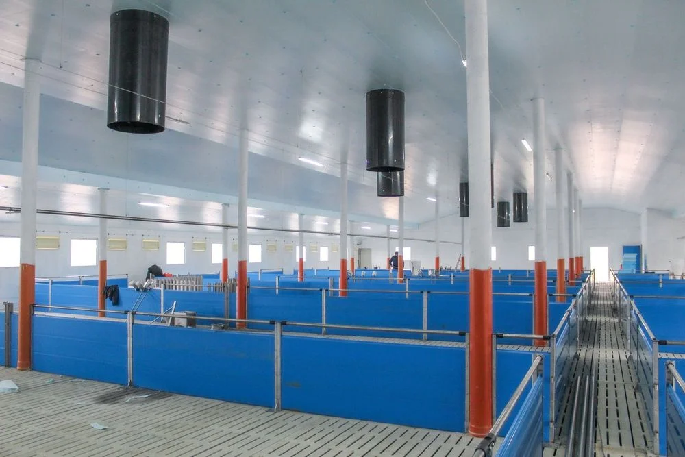Błękitne Panele Izolacyjne Płyty Styrodur XPS AGRO Podbitka Podsufitka – zdjęcie 6