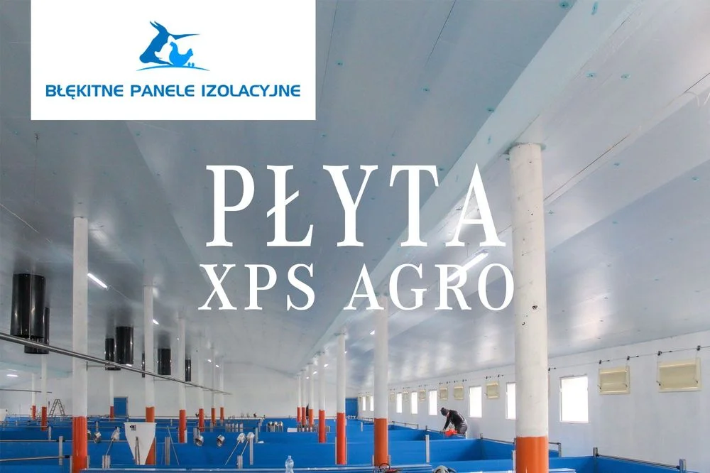 Błękitne Panele Izolacyjne Płyty Styrodur XPS AGRO Podbitka Podsufitka
