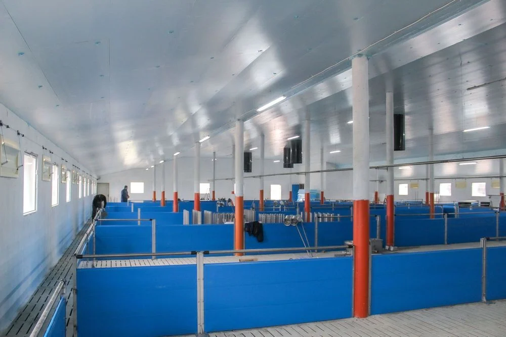 Błękitne Panele Izolacyjne Płyty Styrodur XPS AGRO Podbitka Podsufitka – zdjęcie 3
