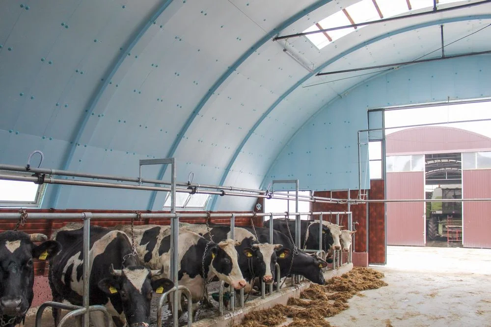 Ocieplenie Hala Tunelowa Łukowa Namiotowa Wiata Rolnicza Hangar Namiot – zdjęcie 2