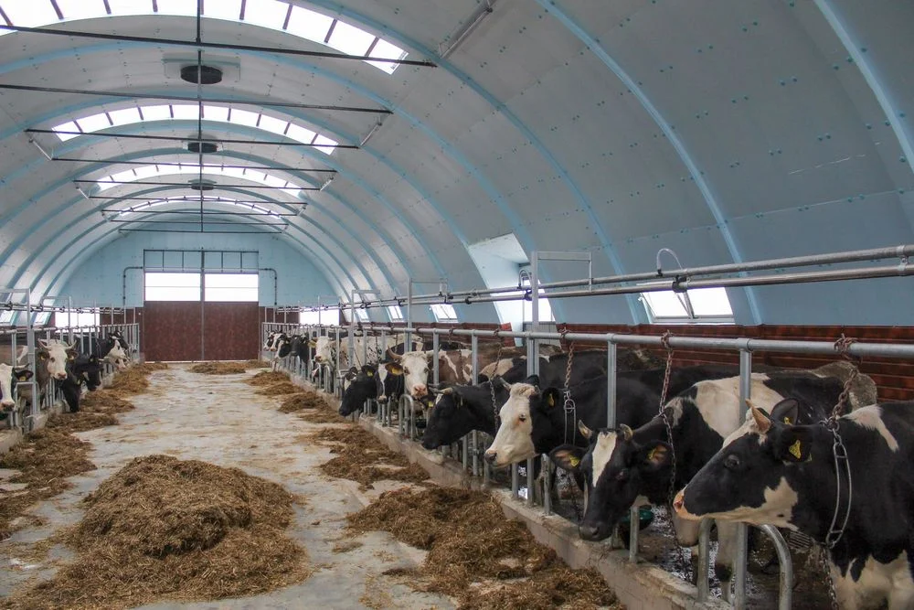 Ocieplenie Hala Tunelowa Łukowa Namiotowa Wiata Rolnicza Hangar Namiot – zdjęcie 7