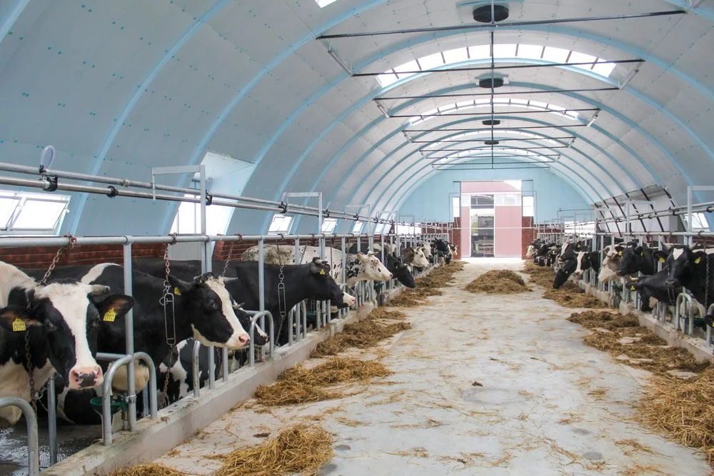 Ocieplenie Hala Tunelowa Łukowa Namiotowa Wiata Rolnicza Hangar Namiot – zdjęcie 8