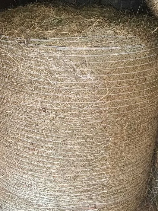 SIANO 120x120/ około 130 sztuk – zdjęcie 2