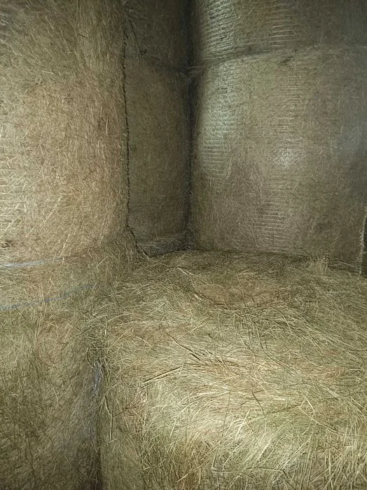 SIANO 120x120/ około 130 sztuk