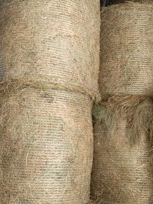 SIANO 120x120/ około 130 sztuk – zdjęcie 4