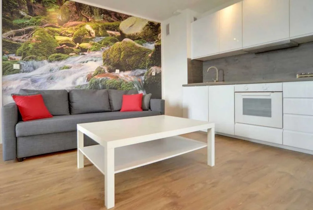 Apart-Invest Apartament C8 Perła -Szklarska Poręba – zdjęcie 4