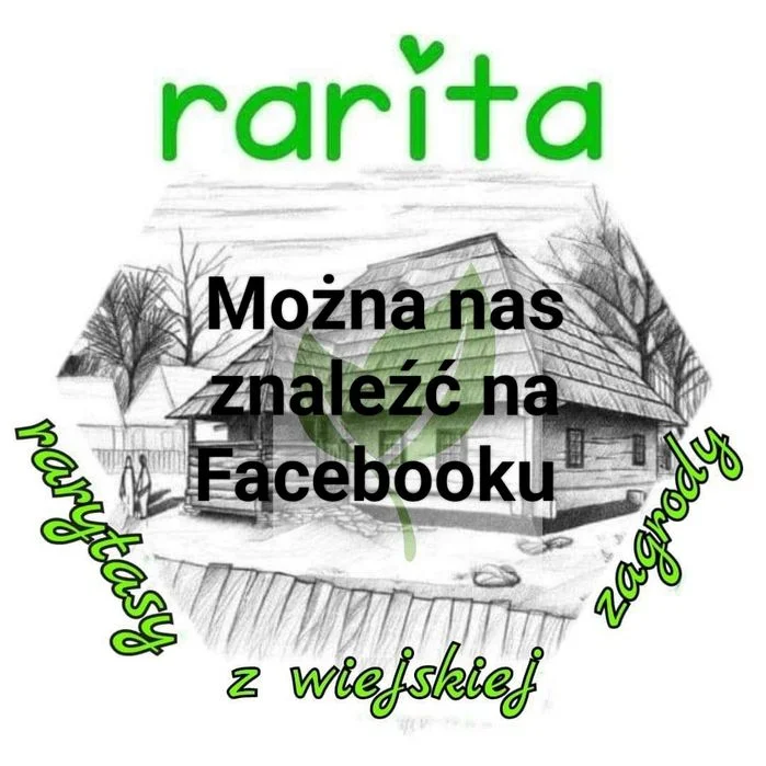 SERY wędzone ,serki, swojskie wyroby – zdjęcie 3