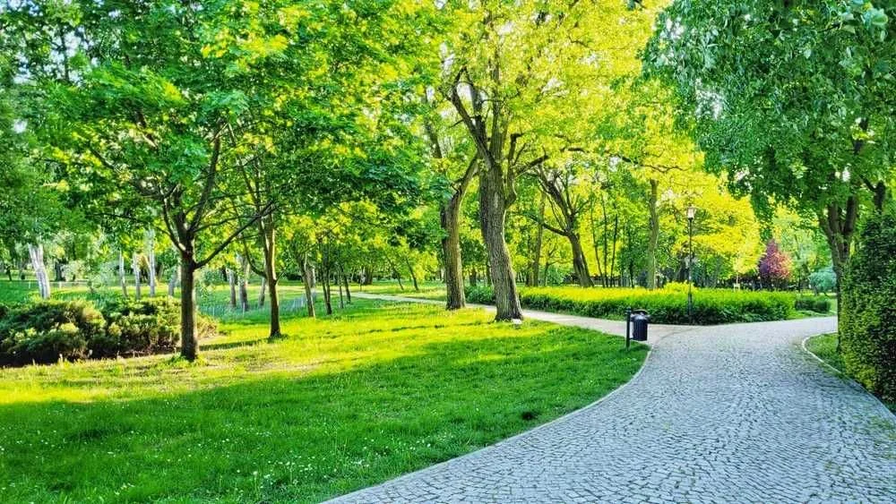 Nocleg Inowrocław -Apartament w Solankach -bezpłatny parking podziemny – zdjęcie 11