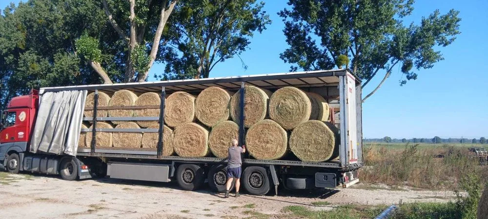 Ekologiczne siano dla koni 2026 – selekcjonowane – bele 140 cm – zdjęcie 6
