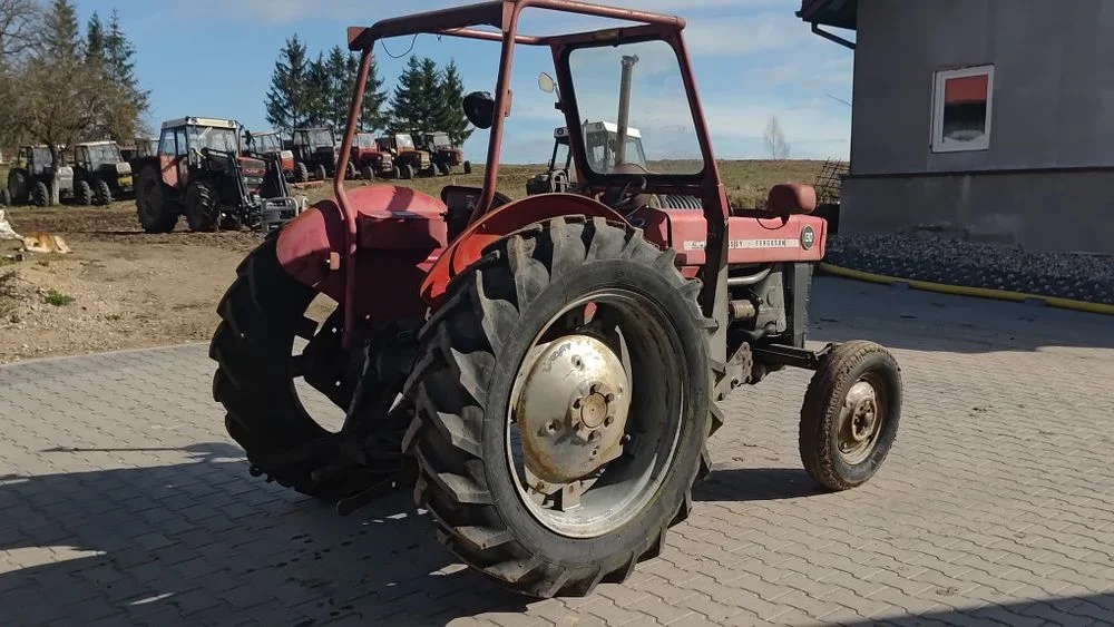 Massey ferguson 130 Export kolekcjonerski – zdjęcie 6